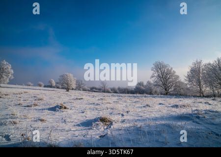 Germania, paesaggio di pascoli ricoperti di neve bianca con nebbia in un freddo paesaggio invernale ghiacciato la magia del mattino presto con cielo blu Foto Stock