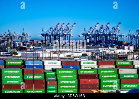 Vista dei container e delle gru portuali del porto di Los Angeles Foto Stock