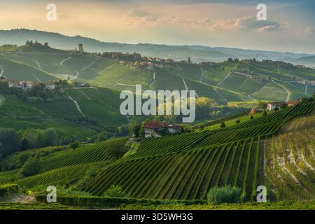 Vista panoramica dei vigneti verdi terrazzati della regione vinicola delle Langhe, in Piemonte. Il villaggio di Barbaresco, coronato dalla sua iconica torre, è visibile Foto Stock