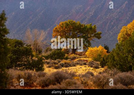 La fotografia aerea delle affascinanti formazioni rocciose dello Utah cattura le meraviglie geologiche mozzafiato dello stato. Foto Stock