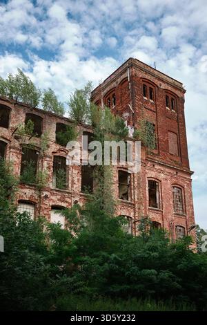 Storico stabilimento tessile a Lodz con una facciata in mattoni intemprati, finestre rotte e alberi che crescono attraverso la struttura. Foto Stock