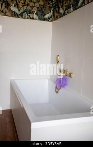 Elegante arredo del bagno, lussuosa vasca con accessori, raffinata vasca in ceramica con dettagli lussuosi, sofisticata area lavabo con finiture luccicanti Foto Stock