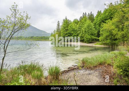 Paesaggio del lago Offensee in una giornata di pioggia in primavera, Salzkammergut, Austria Foto Stock