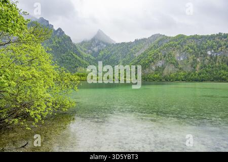 Paesaggio del lago Offensee in una giornata di pioggia in primavera, Salzkammergut, Austria Foto Stock