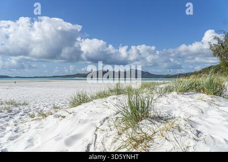 La spiaggia bianca delle Isole Whitsunday in Australia, che consiste del 99% di sabbia di quarzo, e il mare azzurro Foto Stock