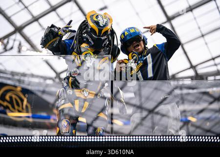 Tifosi durante una partita NFL tra i Los Angeles Rams e i Seattle Seahawks, domenica 16 novembre 2025, al SoFi Stadium, a Inglewood, CA. i Rams sconfissero i Seahawks 21-19. (Jon Endow/immagine dello sport) Foto Stock