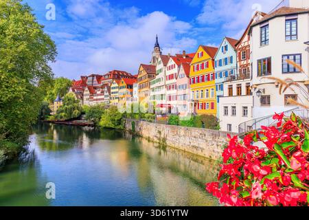 Tubingen, Germania. Case colorate nella città vecchia sul fiume Neckar. Foto Stock