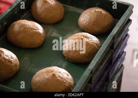 Vista ravvicinata di più porzioni rotonde di impasto crudo non cotto disposte ordinatamente all'interno del vassoio di plastica verde scuro, consistenza visibile sulla superficie dell'impasto Foto Stock