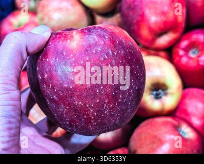 Primo piano di una mano che tiene e sceglie una mela rossa fresca in un contesto sfocato del mercato della spesa Foto Stock