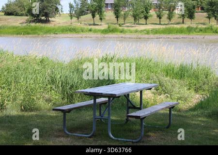 semplice tavolo da picnic in legno all'ombra accanto all'erba fitta sulla riva del fiume Foto Stock