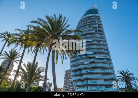 Palme e moderni grattacieli al tramonto a Benidorm, Spagna Foto Stock