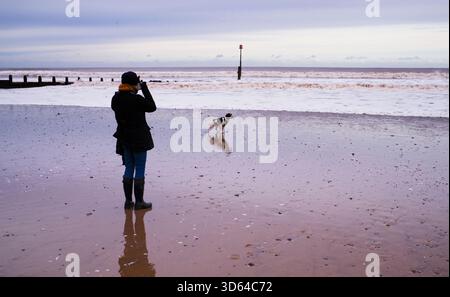 Woman taking a photo of a springer spaniel on a beach Foto Stock