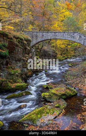 Ponte Jungfern / Jungfernbrücke, ponte pedonale in pietra del XX secolo / ponte pedonale sul fiume Bode nei monti Harz, Sassonia-Anhalt, Germania Foto Stock