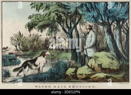 Opera d'illustrazione storica intitolata Water Rail Shooting, raffigurante cacciatori con cani che recuperano una ferrovia d'acqua di Nathaniel Currier, 1855 Foto Stock