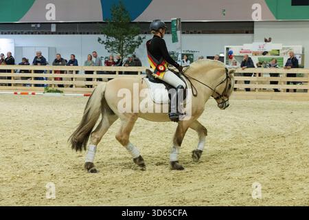 Berlino, Germania - 21 gennaio 2025: Il cavaliere equestre guida il cavallo in un'arena coperta con spettatori sullo sfondo. Foto Stock