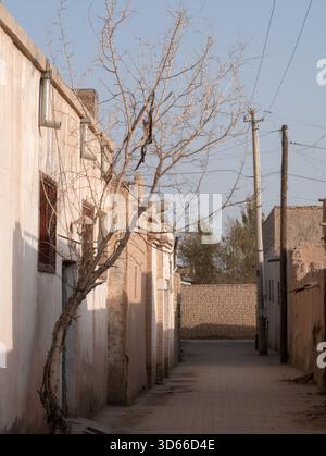 Un albero appassito in un antico villaggio deserto con case e strade di terra Foto Stock