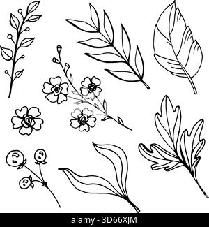 Set vettoriale disegnato a mano di elementi botanici: Foglie, rami e fiori. Perfetto per colorare pagine, motivi floreali, loghi, inviti Illustrazione Vettoriale