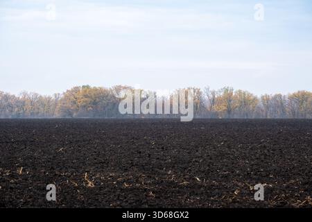 Ampio paesaggio orizzontale di un campo scuro e appena arato in primo piano, che mostra una ricca consistenza del terreno. Una linea di alberi si trova sotto un cielo nebuloso, fornendo ampio spazio di copia. Scenario agricolo autunnale. Foto Stock