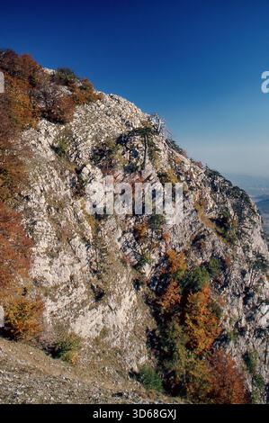 Natura, Italia, regione Calabria 1975 Comprensorio del Pollino - Monte Pollino. Foto Stock