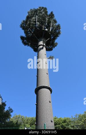 Sito cellulare travestito, torre cellulare, torre Stealth o torre di comunicazione o antenna mascherata o mimetizzata come albero falso Foto Stock