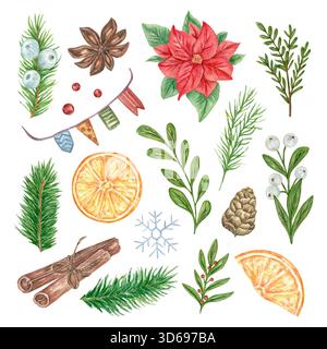Un insieme di elementi di acquerello natalizio, tra cui vegetazione, poinsettia, pino, arancio, cannella, cono di pino, anice, bandiere, bacche, fiocco di neve. Un'illustrazione natalizia per i biglietti d'auguri. Foto Stock