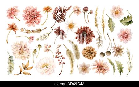 Foglie di fiori autunnali. Piante autunnali Dahlia Chrysanthemum Daisy. Illustrazione floreale ad acquerello disegnata a mano isolata su sfondo bianco per il matrimonio Foto Stock