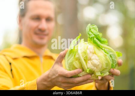 Primo piano di un agricoltore sorridente con cavolfiore fresco in mani maschili. Tempo di raccolta, prodotti agricoli biologici, alimentazione sana e verdure naturali di stagione. Foto Stock