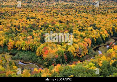 La colorata foresta autunnale del Porcupine Mountains Wilderness State Park si affaccia sul fiume Big Carp nella Upper Peninsula del Michigan. Foto Stock
