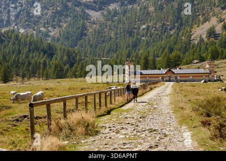 Sentiero alpino e strada di montagna a piana del Valasco e Rifugio Valasco a Valdieri, Cuneo Provenza, Piemonte, Italia Foto Stock