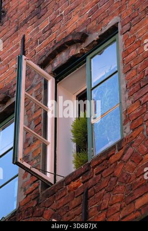 Una finestra verde aperta in una vecchia facciata in mattoni, che rivela una pianta all'interno. Foto Stock