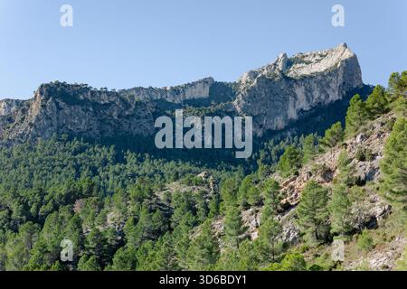 Creste rocciose illuminate dal sole vicino a Tarragona, Spagna, coperte da fitte foreste di pini sotto un cielo azzurro. Foto Stock