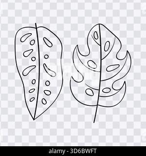 Illustrazione vettoriale della collezione di pagine disegnata a mano con foglie tropicali di monstera Illustrazione Vettoriale