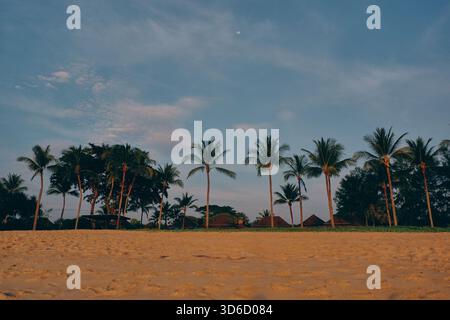 Una fila di alte palme si erge sopra una spiaggia di sabbia aperta sotto un cielo luminoso al tramonto, con una piccola luna crescente che si innalza per una serata tropicale. Foto Stock