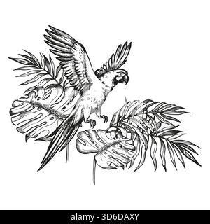 cockatoo di pappagalli volanti disegnato a mano con ramoscelli aperti in foglie di palma della foresta tropicale, illustrazione vettoriale di uccelli esotici della fauna selvatica, incisione monocromatica a inchiostro Illustrazione Vettoriale