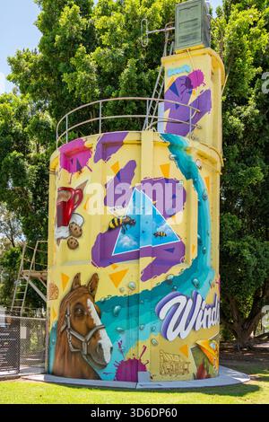 Water Tank Art by Aerosol Obsessions, Windsor, NSW, Australia Foto Stock