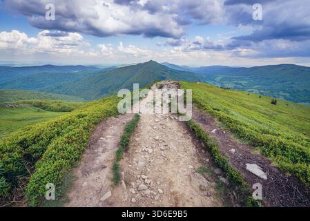Il percorso nei pressi di Winnie the Pooh capanna rifugio su una roccia Hasiakowa montagna, parte dei prati Wetlina in Western monti Bieszczady in Polonia Foto Stock