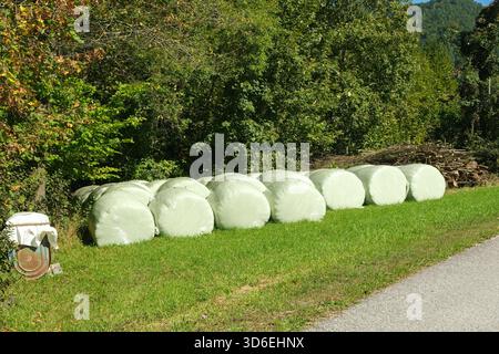 Balle di insilato avvolte in un prato alpino, balle di fieno Foto Stock