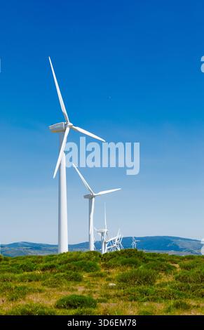 I moderni mulini a vento si innalzano maestosamente in un'ampia fattoria eolica, che si fonde con una vegetazione lussureggiante e un cielo blu limpido. Questa fonte di energia rinnovabile Foto Stock