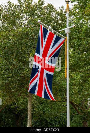 La bandiera Union Jack sventola orgogliosamente su un palo circondato da alberi verdi in una strada a Londra in Inghilterra. Foto Stock