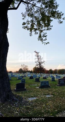 Un tranquillo cimitero dell'Illinois meridionale al tramonto, caratterizzato da un grande albero in primo piano e file di lapidi. Foto Stock