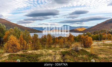 Colori autunnali in Norvegia. Vista su Kaldfjord. Splendidi colori autunnali a Kvaløya, Troms, Norvegia. Paesaggio autunnale norvegese Foto Stock
