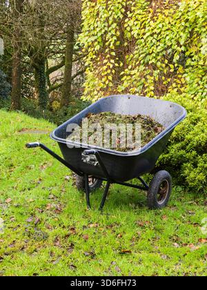 Carriola piena di erba tagliata e foglie autunnali cadute pronte per il compostaggio Foto Stock