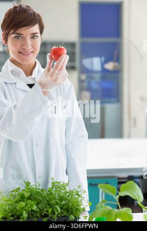 Ricercatrice donna di mezza età in camice da laboratorio con pomodoro rosso con guanti a mano sul banco con piantine. Scienza, botanica, orticoltura, laboratorio, ricerca Foto Stock
