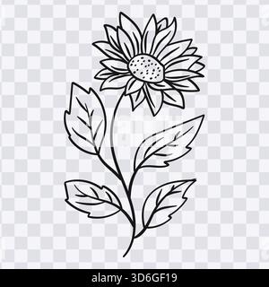 Disegno della linea di piante di girasole vettore di illustrazioni di fiori e foglie Illustrazione Vettoriale