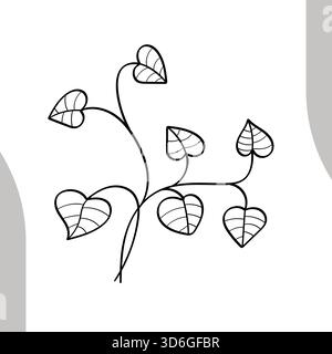 Illustrazione vettoriale botanica con foglie a forma di cuore disegnate a mano Illustrazione Vettoriale