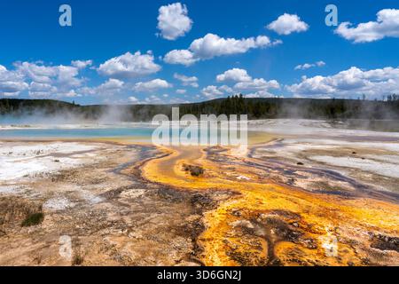 Vista del Parco Nazionale di Yellowstone in Wyoming, STATI UNITI D'AMERICA. Foto Stock