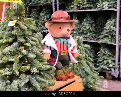 Bear Paddington esplora un labirinto festoso di alberi di Natale all'interno di un vivace centro giardino Foto Stock