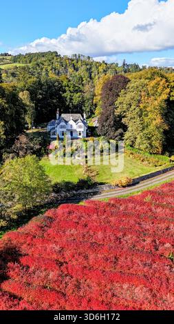 Vista verticale autunnale di Blairgowrie nel Perthshire, del fiume Ericht, un campo di aronia rossa e dei terreni agricoli circostanti in una giornata di sole in Scozia Foto Stock