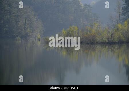 Lago calmo con nebbia e alberi autunnali che si riflettono nella luce del mattino, Italia Foto Stock