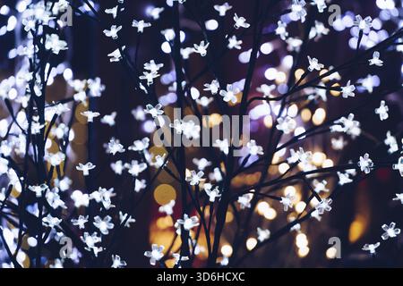 Sfondo natalizio sfocato astratto con luci sugli alberi invernali all'aperto di notte. Messa a fuoco selettiva Foto Stock